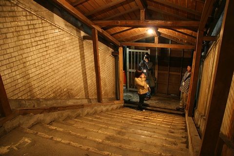 IMG_2981