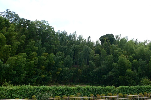 P1010910