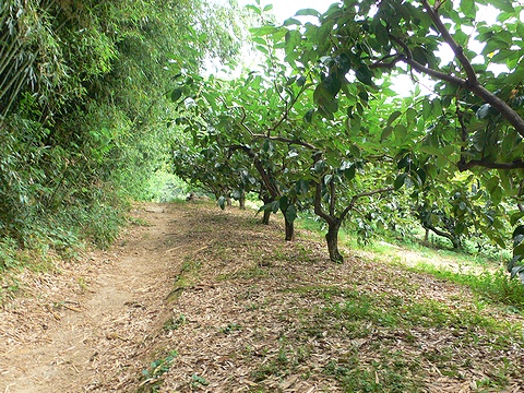 P1010903