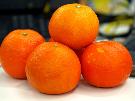 P3010755