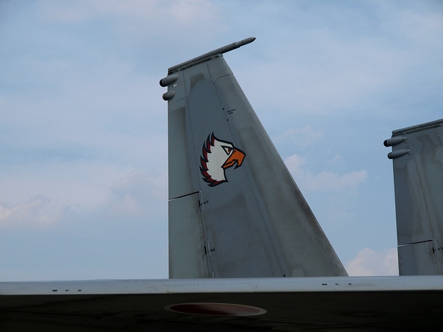P8251122
