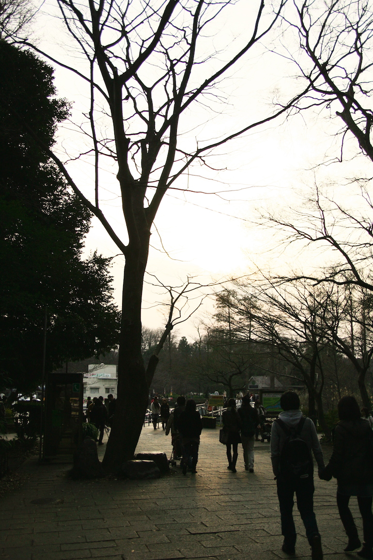 20100131155054.jpg