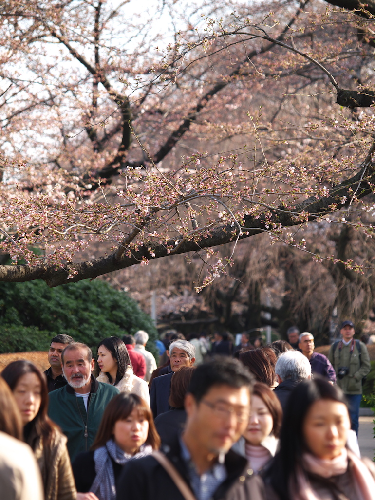 20100327152751.jpg