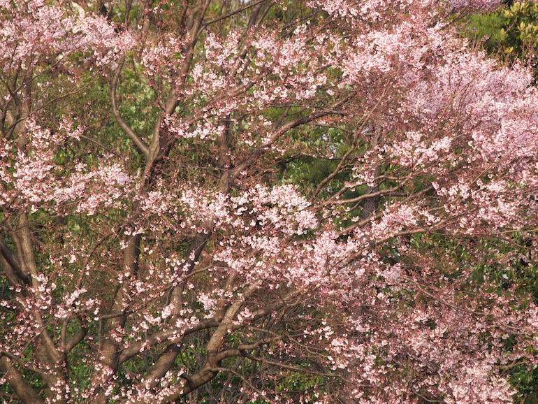 20100327160036.jpg