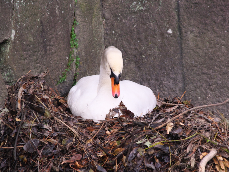 20100327163148.jpg