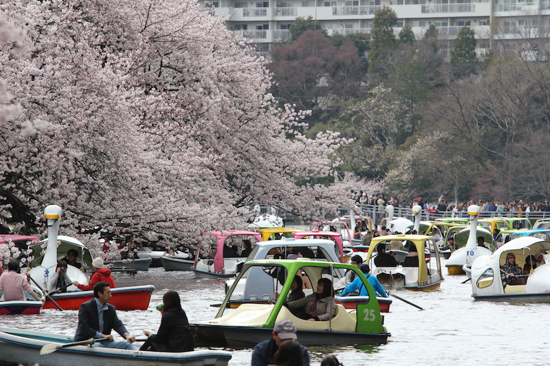 20100402140550.jpg