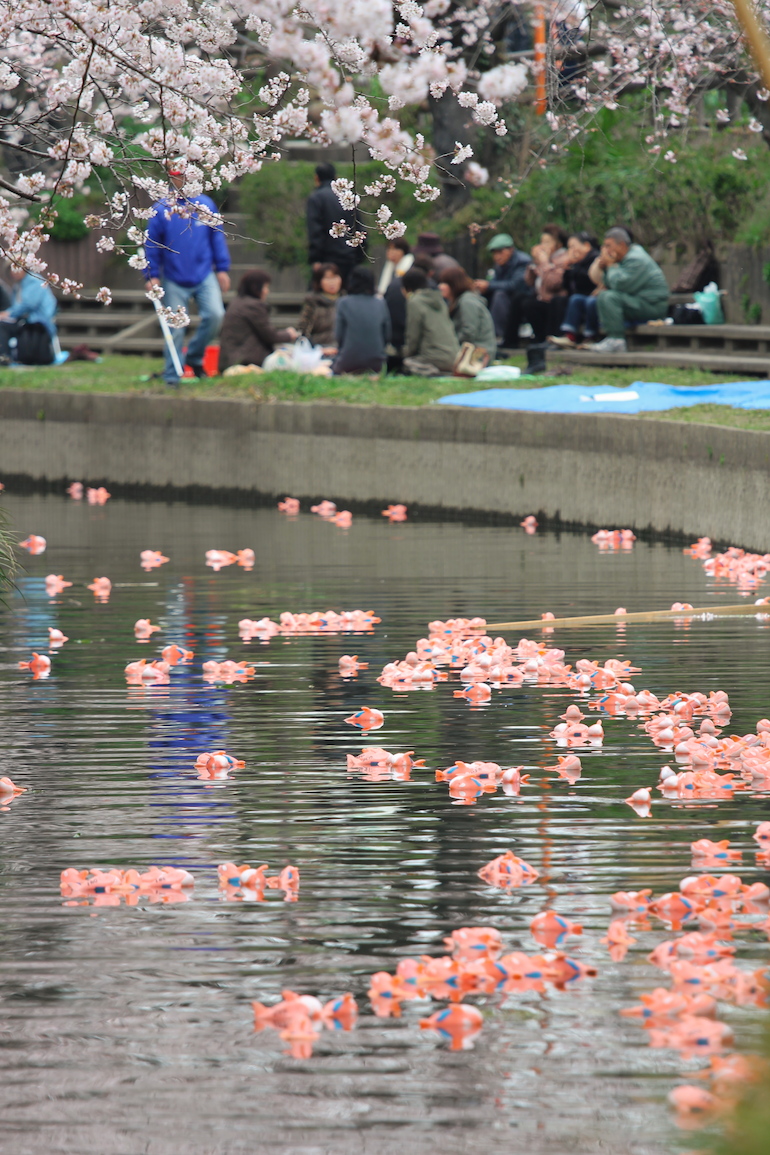 20100403122550.jpg