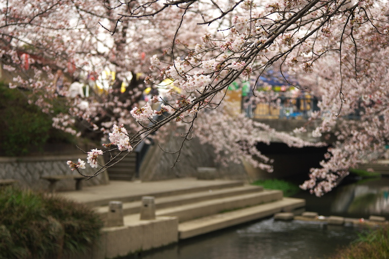 20100404110857.jpg
