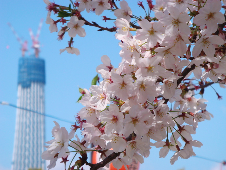 20100408120940.jpg