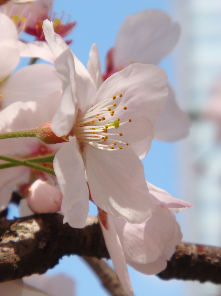 20100408121001.jpg