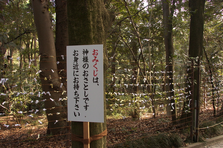 20110101102721.jpg