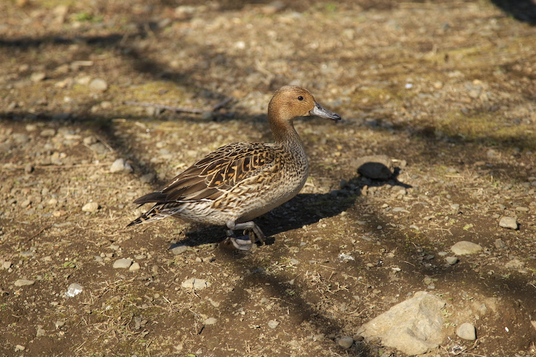 20110220140302.jpg