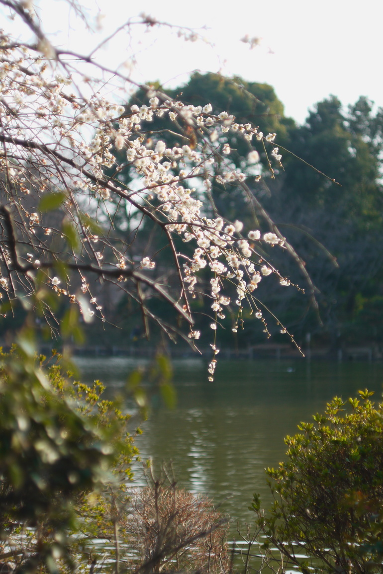 20110227154002.jpg