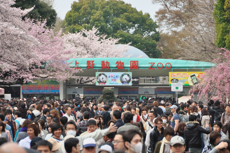 20110410124524.jpg