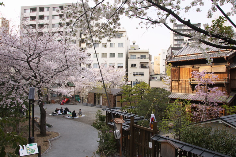 20110410163355.jpg