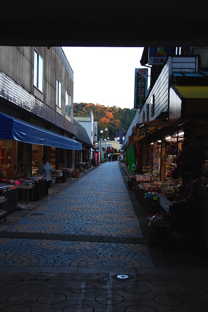 DSC_0389.jpg