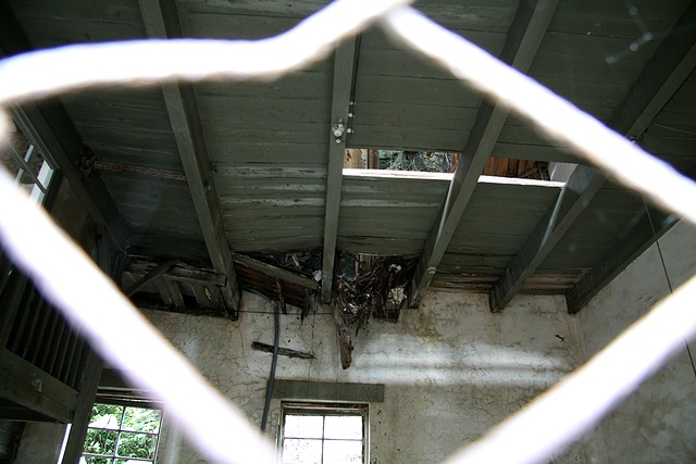 IMG_3926.jpg IMG_3926.jpg