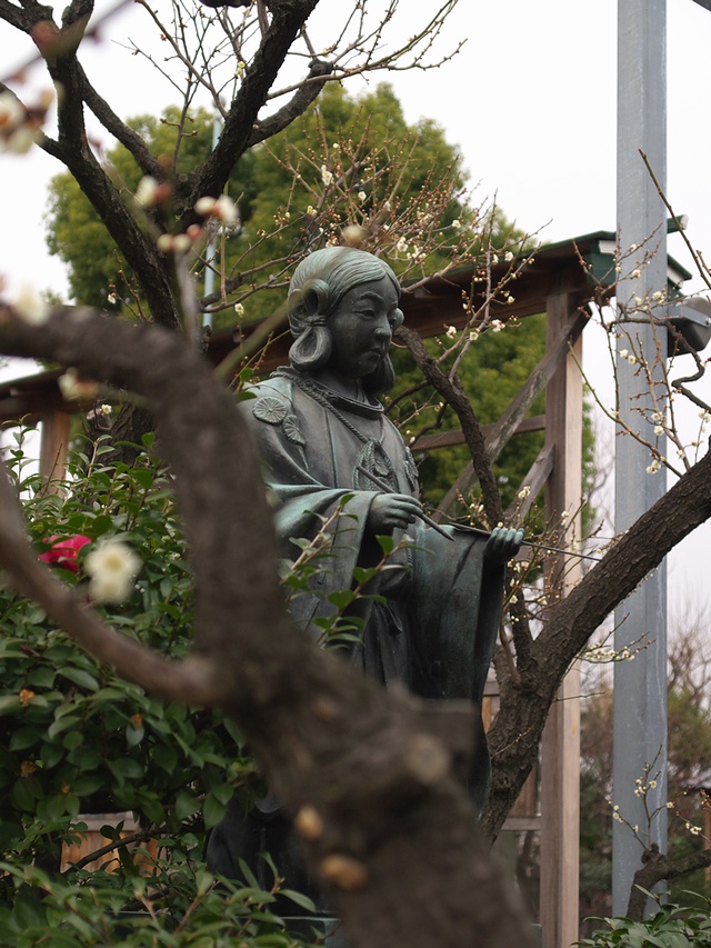 P2232167.jpg
