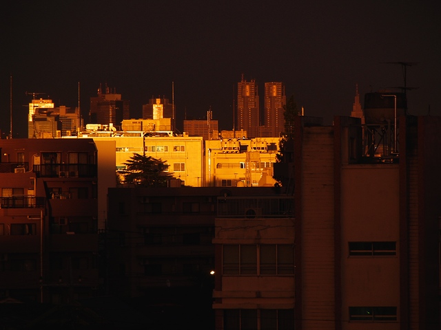 P7273325.jpg