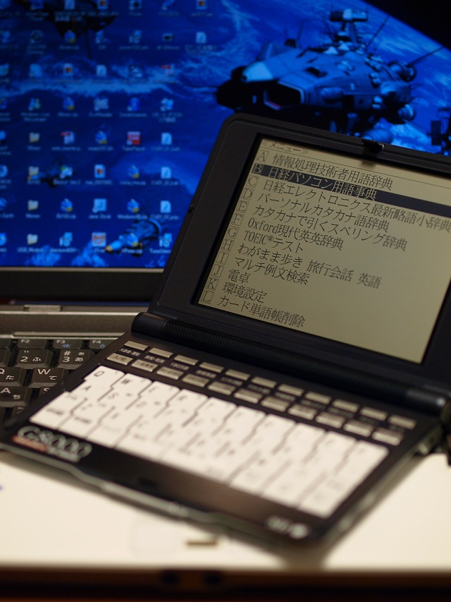 PA131867.jpg