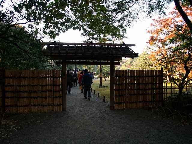 PB251183.jpg